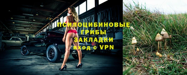 метадон Кодинск