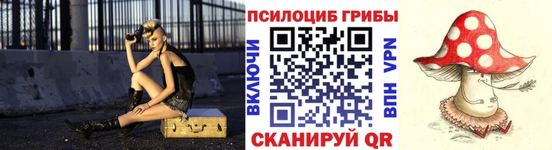 Купить закладки  Гудермес  Галлюциногенные грибы мицелий 